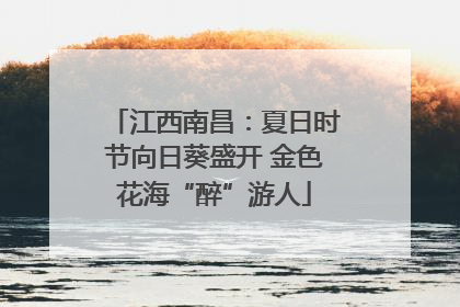 江西南昌：夏日时节向日葵盛开 金色花海“醉”游人