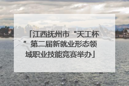 江西抚州市“天工杯”第二届新就业形态领域职业技能竞赛举办