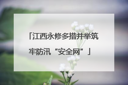 江西永修多措并举筑牢防汛“安全网”