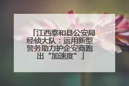江西泰和县公安局经侦大队：运用新型警务助力护企安商跑出“加速度”