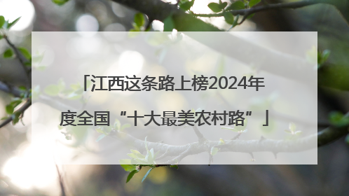 江西这条路上榜2024年度全国“十大最美农村路”