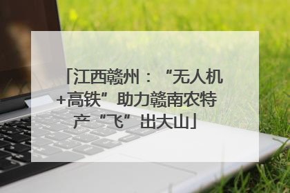 江西赣州：“无人机+高铁”助力赣南农特产“飞”出大山