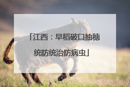 江西：早稻破口抽穗 统防统治防病虫