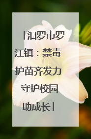 汨罗市罗江镇：禁毒护苗齐发力 守护校园助成长