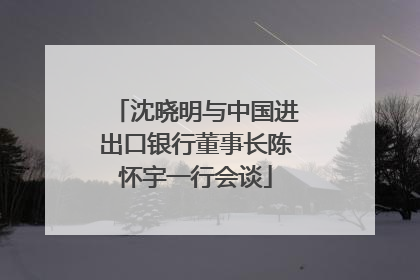 沈晓明与中国进出口银行董事长陈怀宇一行会谈