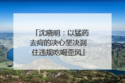 沈晓明：以猛药去疴的决心坚决刹住违规吃喝歪风