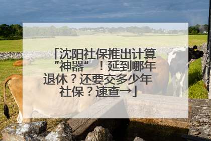 沈阳社保推出计算“神器”！延到哪年退休？还要交多少年社保？速查→
