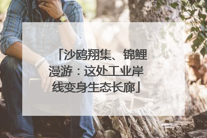 沙鸥翔集、锦鲤漫游：这处工业岸线变身生态长廊