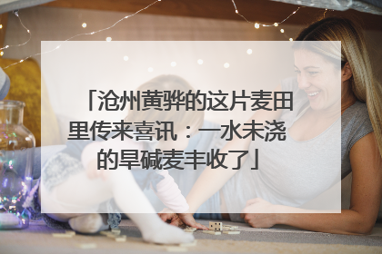 沧州黄骅的这片麦田里传来喜讯：一水未浇的旱碱麦丰收了