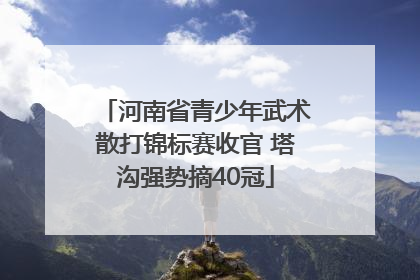 河南省青少年武术散打锦标赛收官 塔沟强势摘40冠