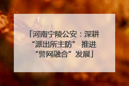 河南宁陵公安：深耕“派出所主防” 推进“警网融合”发展