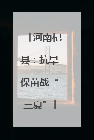 河南杞县：抗旱保苗战“三夏”