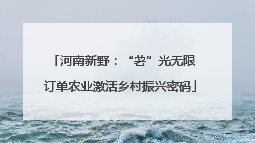 河南新野：“薯”光无限 订单农业激活乡村振兴密码