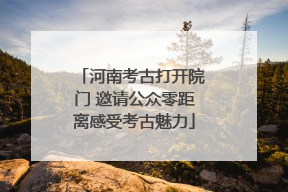 河南考古打开院门 邀请公众零距离感受考古魅力
