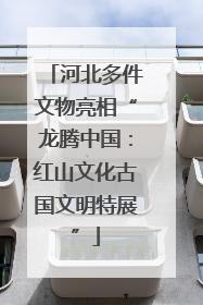 河北多件文物亮相“龙腾中国：红山文化古国文明特展”