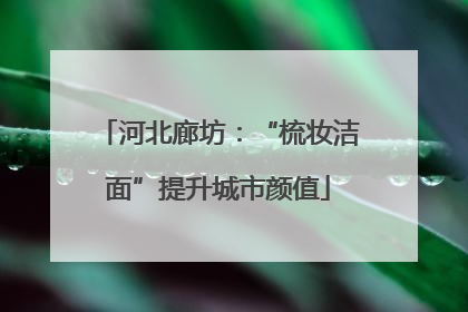 河北廊坊：“梳妆洁面”提升城市颜值