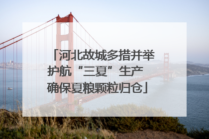 河北故城多措并举护航“三夏”生产 确保夏粮颗粒归仓