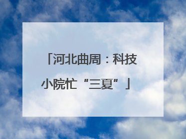 河北曲周：科技小院忙“三夏”