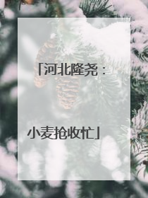 河北隆尧：小麦抢收忙