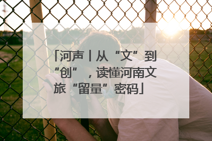河声丨从“文”到“创”，读懂河南文旅“留量”密码