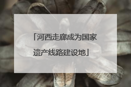 河西走廊成为国家遗产线路建设地