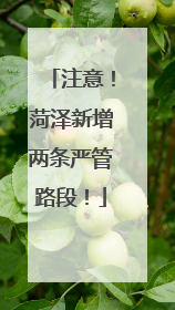 注意！菏泽新增两条严管路段！