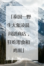 泰国一野生大象凌晨闯进商店，狂吃零食和鸡蛋