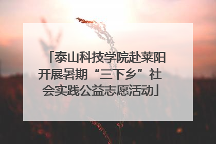 泰山科技学院赴莱阳开展暑期“三下乡”社会实践公益志愿活动