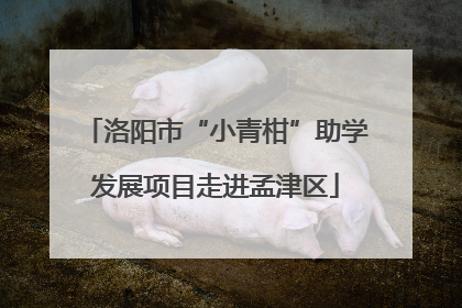 洛阳市“小青柑”助学发展项目走进孟津区