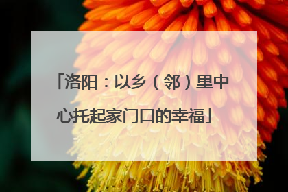 洛阳：以乡（邻）里中心托起家门口的幸福