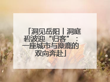 洞见岳阳丨洞庭碧波迎“归客”：一座城市与麋鹿的双向奔赴