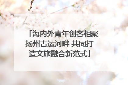 海内外青年创客相聚扬州古运河畔 共同打造文旅融合新范式