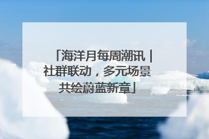 海洋月每周潮讯｜社群联动，多元场景共绘蔚蓝新章