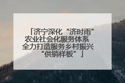 济宁深化“济时雨”农业社会化服务体系 全力打造服务乡村振兴“供销样板”