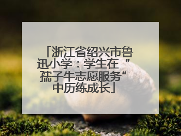 浙江省绍兴市鲁迅小学：学生在“孺子牛志愿服务”中历练成长