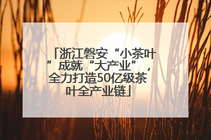 浙江磐安“小茶叶”成就“大产业”，全力打造50亿级茶叶全产业链