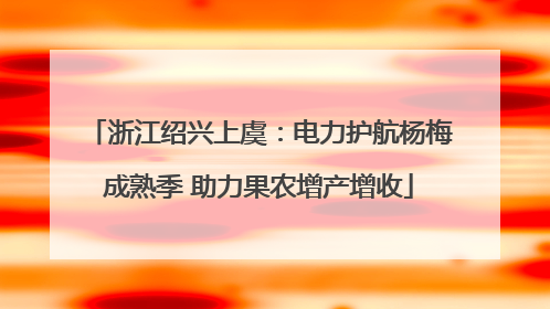 浙江绍兴上虞：电力护航杨梅成熟季 助力果农增产增收