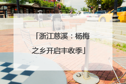 浙江慈溪：杨梅之乡开启丰收季
