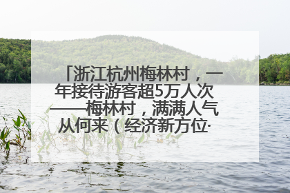 浙江杭州梅林村，一年接待游客超5万人次——梅林村，满满人气从何来（经济新方位·农村消费观察）