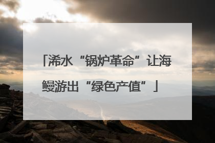 浠水“锅炉革命”让海鳗游出“绿色产值”