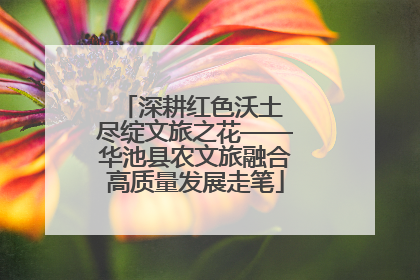 深耕红色沃土 尽绽文旅之花——华池县农文旅融合高质量发展走笔