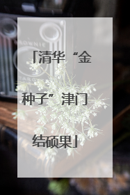 清华“金种子”津门结硕果