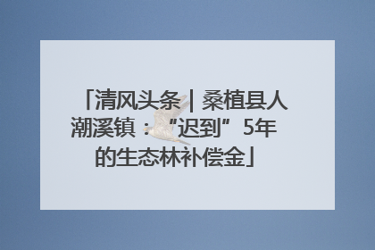 清风头条｜桑植县人潮溪镇：“迟到”5年的生态林补偿金