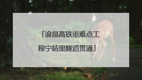 渝昆高铁重难点工程宁靖里隧道贯通