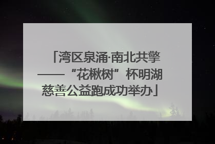 湾区泉涌·南北共擎——“花楸树”杯明湖慈善公益跑成功举办