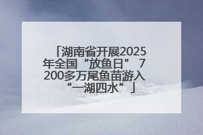 湖南省开展2025年全国“放鱼日” 7200多万尾鱼苗游入“一湖四水”