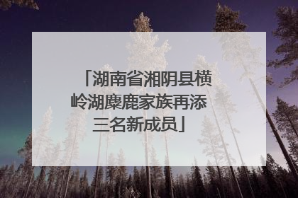 湖南省湘阴县横岭湖麋鹿家族再添三名新成员