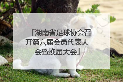 湖南省足球协会召开第六届会员代表大会暨换届大会
