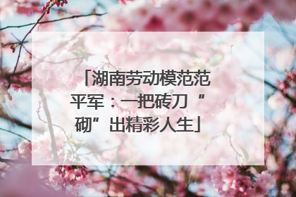 湖南劳动模范范平军：一把砖刀“砌”出精彩人生
