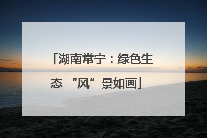 湖南常宁：绿色生态 “风”景如画